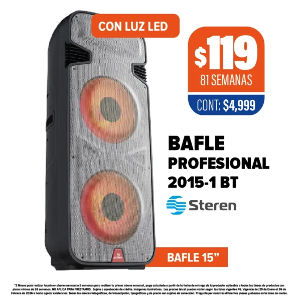 BAFLE STEREN PROFESIONAL 2015-1 BT