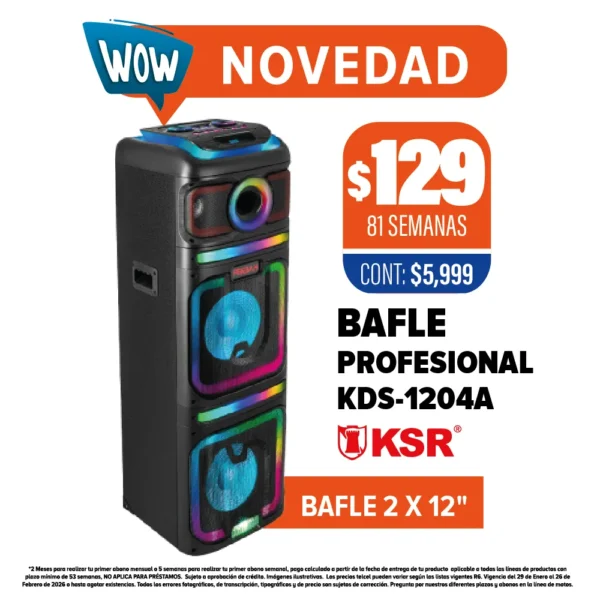 BAFLE KSR PROFESIONAL KDS-1204A